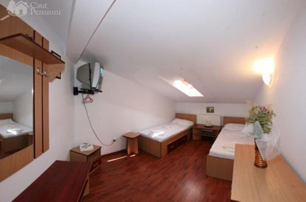 Pensiunea Ramona Tulcea Room photo