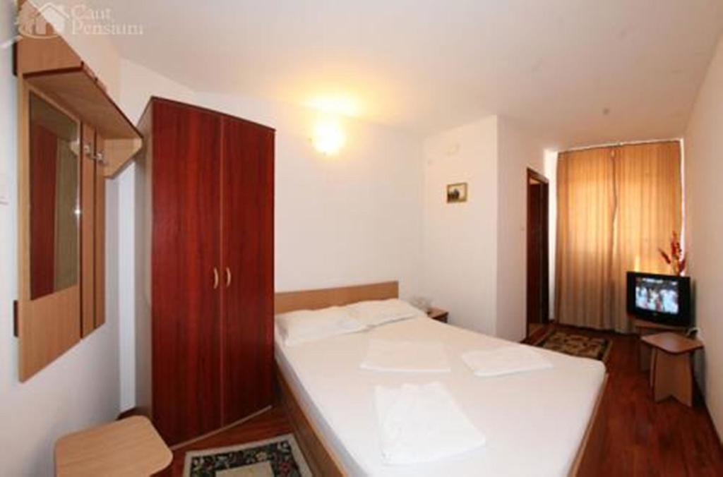 Pensiunea Ramona Tulcea Room photo